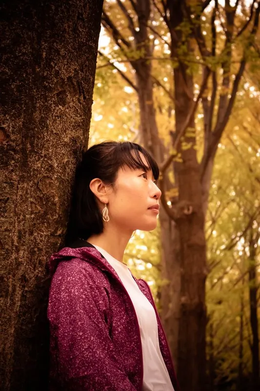 Autumn forest