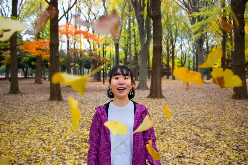 Ginkgo season